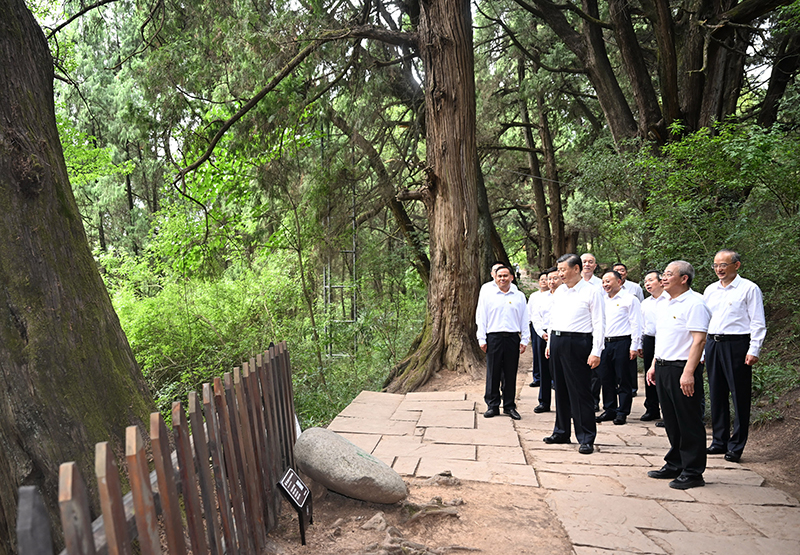 7月25日至27日，中共中央總書記、國家主席、中央軍委主席習(xí)近平在四川考察。這是25日下午，習(xí)近平在廣元市劍閣縣翠云廊考察。